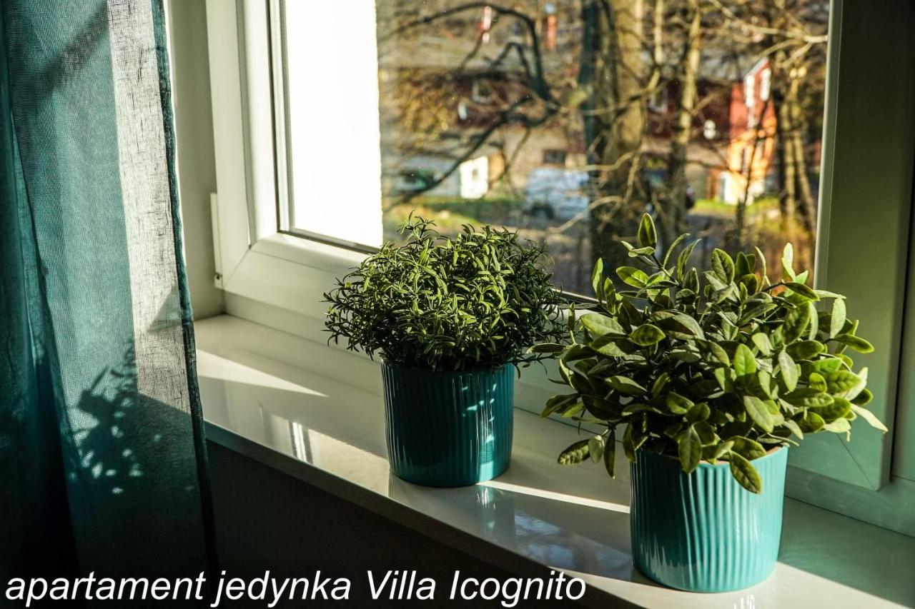 Apartament Jedynka Villa Incognito Шклярська Поремба Екстер'єр фото